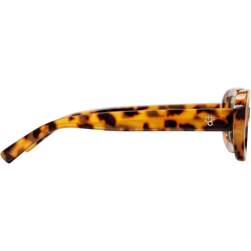 2026 CHPO Sunglasses Havana 16135BE - Leopard / Turquoise